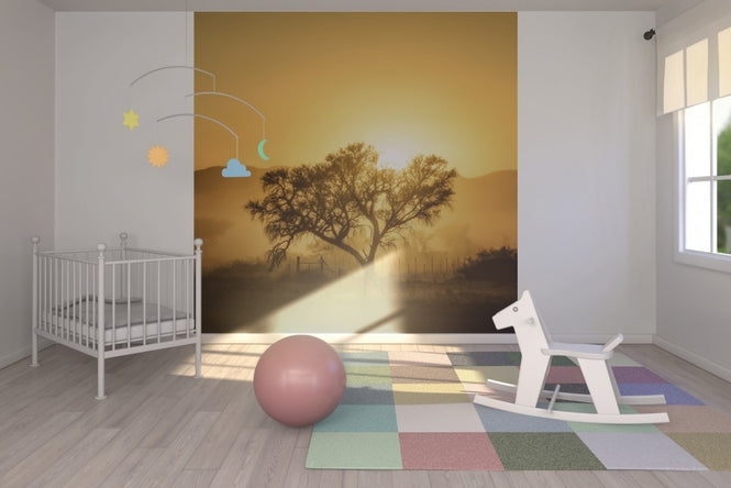 PHOTOWALL / Golden Sunrise (e22546)