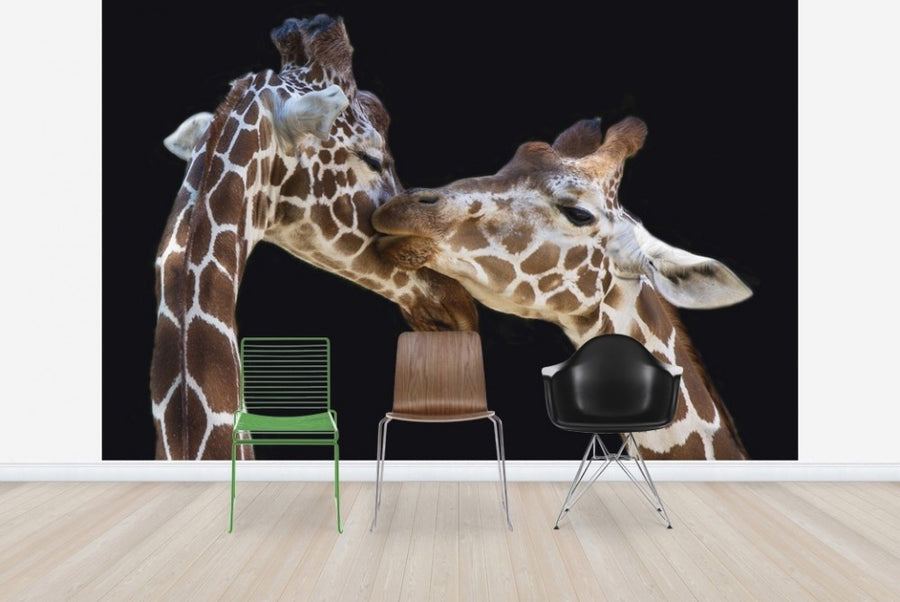 PHOTOWALL / Giraffes Kissing (e22552)