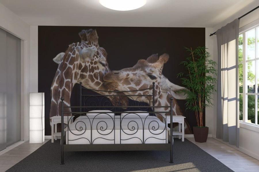 PHOTOWALL / Giraffes Kissing (e22552)