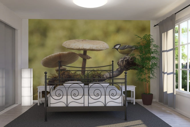 PHOTOWALL / Mushrooms & Bird (e22562)