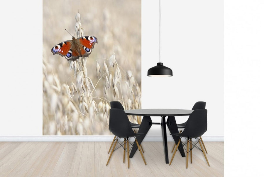 PHOTOWALL / Peacock Butterfly on Oats (e22577)