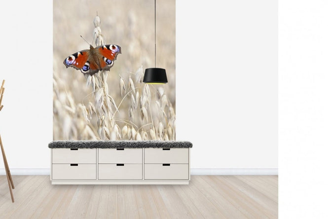 PHOTOWALL / Peacock Butterfly on Oats (e22577)