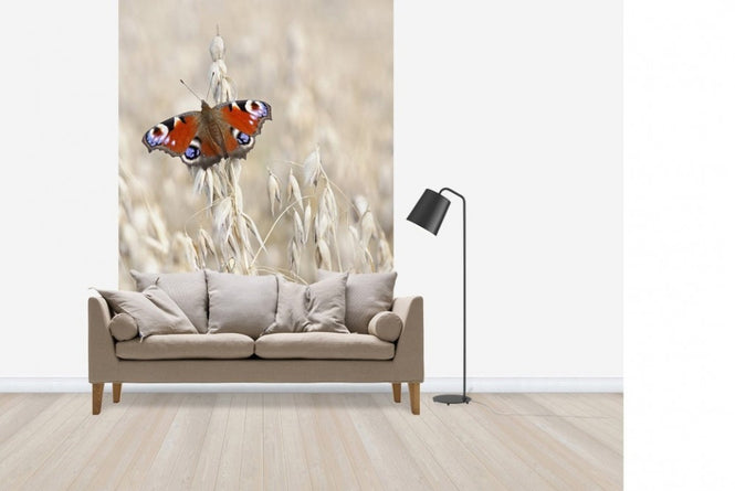 PHOTOWALL / Peacock Butterfly on Oats (e22577)