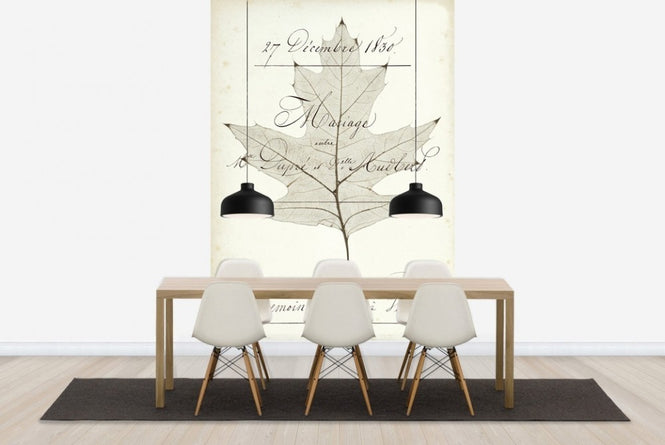 PHOTOWALL / Birch Document (e22620)