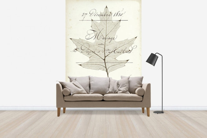 PHOTOWALL / Birch Document (e22620)
