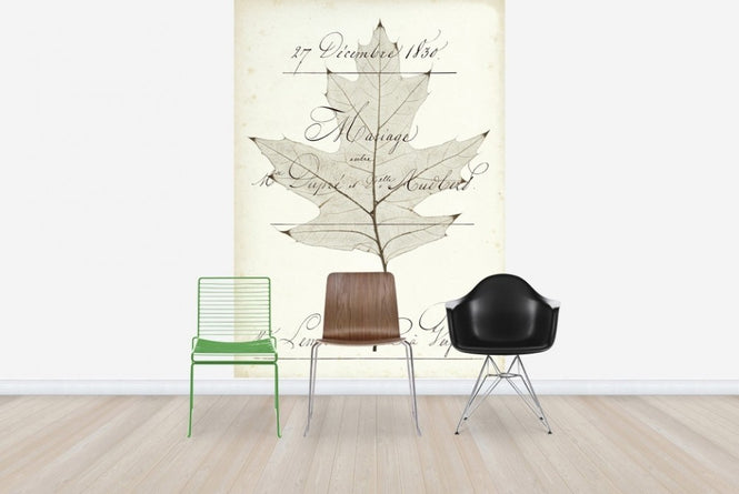 PHOTOWALL / Birch Document (e22620)