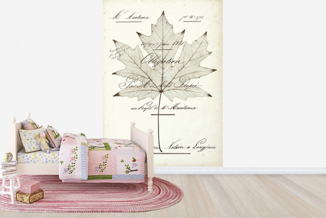 PHOTOWALL / Maple Document (e22621)