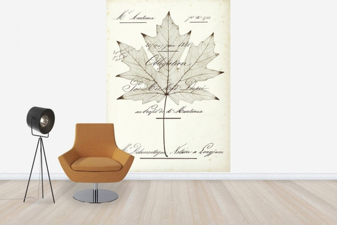 PHOTOWALL / Maple Document (e22621)