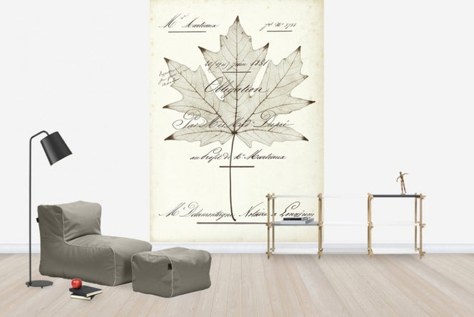 PHOTOWALL / Maple Document (e22621)