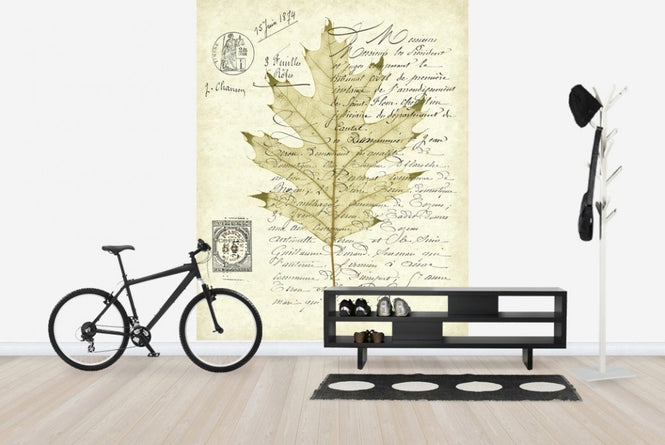 PHOTOWALL / Red Oak Document (e22622)