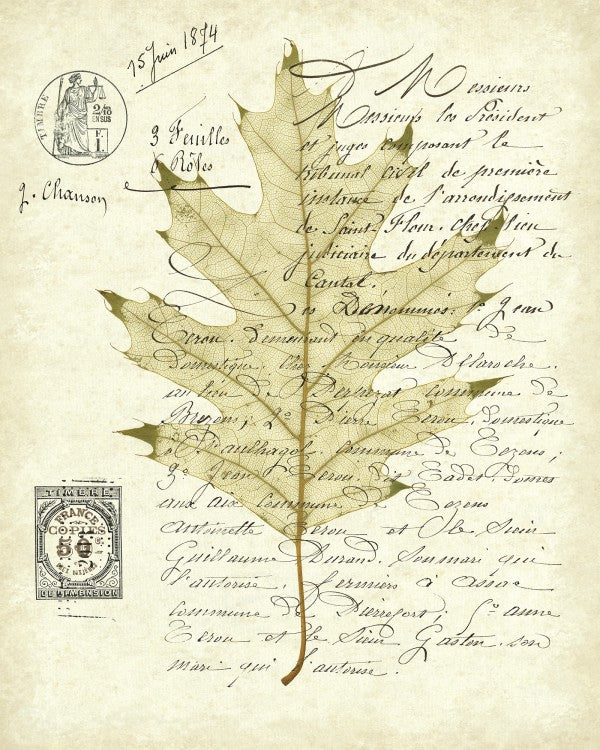 PHOTOWALL / Red Oak Document (e22622)