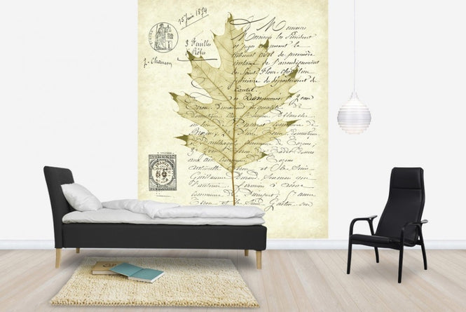 PHOTOWALL / Red Oak Document (e22622)