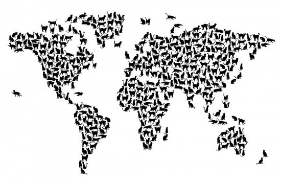 PHOTOWALL / Cats World Map Black (e22698)