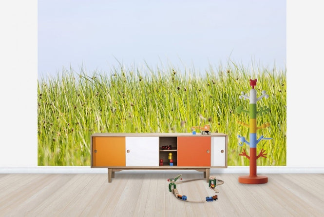 PHOTOWALL / Green Summer Meadow (e22854)