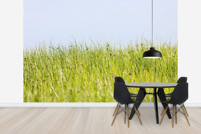 PHOTOWALL / Green Summer Meadow (e22854)