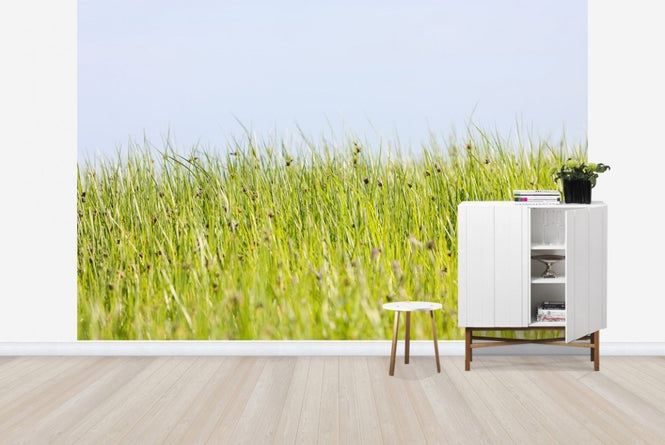 PHOTOWALL / Green Summer Meadow (e22854)