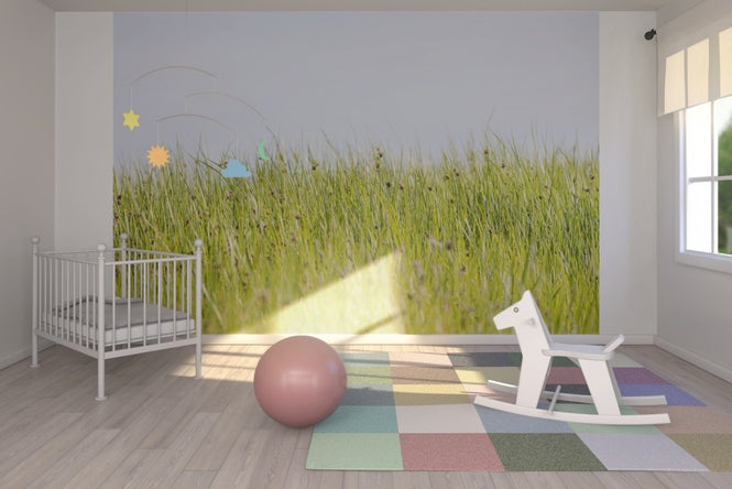 PHOTOWALL / Green Summer Meadow (e22854)