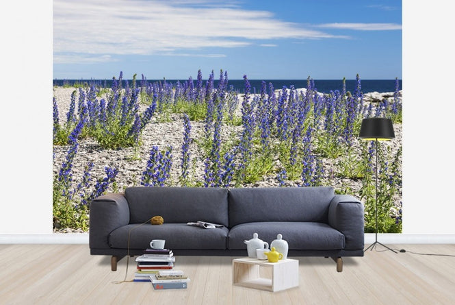 PHOTOWALL / Blueweed (e22857)
