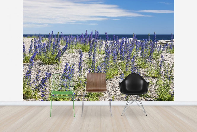 PHOTOWALL / Blueweed (e22857)