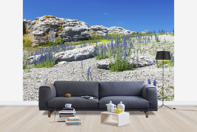 PHOTOWALL / Rock Landscape in Gotland (e22859)