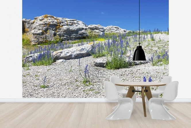 PHOTOWALL / Rock Landscape in Gotland (e22859)