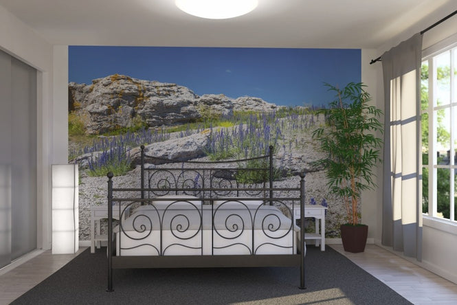 PHOTOWALL / Rock Landscape in Gotland (e22859)