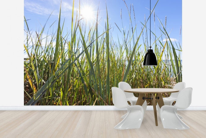 PHOTOWALL / Sunshine and Grass (e22861)