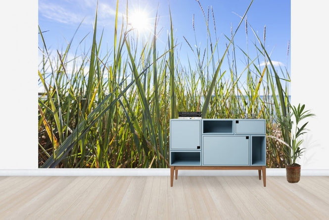 PHOTOWALL / Sunshine and Grass (e22861)