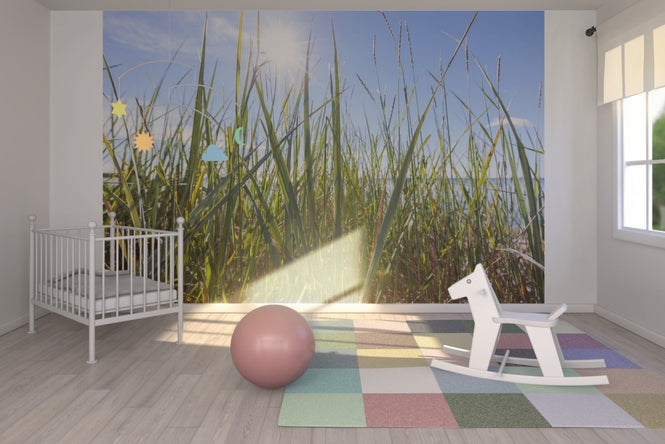 PHOTOWALL / Sunshine and Grass (e22861)