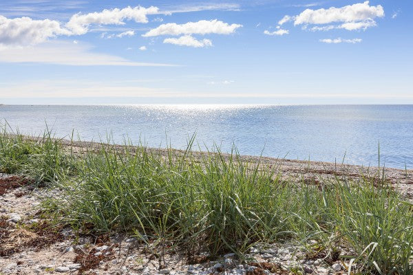 PHOTOWALL / Gotland Beach (e22863)