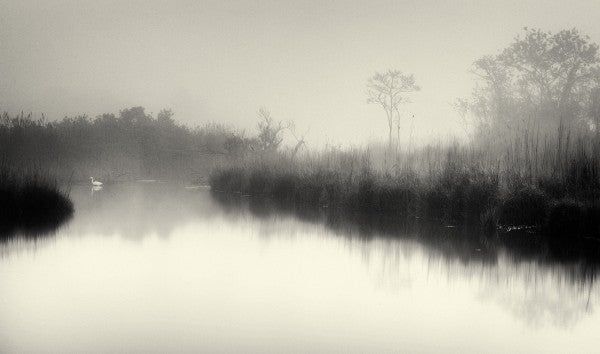 PHOTOWALL / Lake and Trees (e22951)