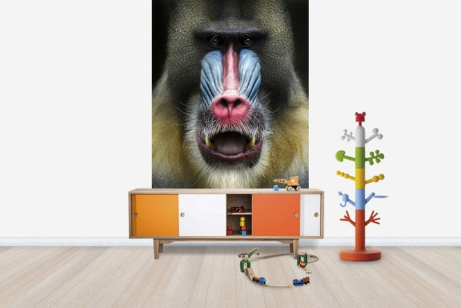 PHOTOWALL / Mandrill Monkey Face (e22988)