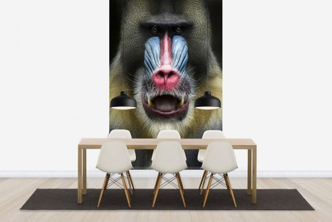 PHOTOWALL / Mandrill Monkey Face (e22988)