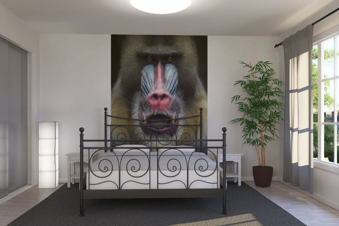 PHOTOWALL / Mandrill Monkey Face (e22988)