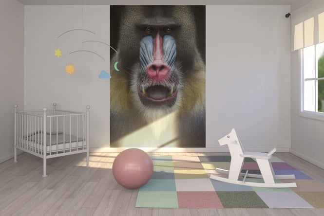 PHOTOWALL / Mandrill Monkey Face (e22988)