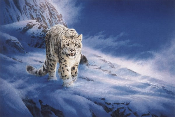 PHOTOWALL / Snow Leopard (e22991)