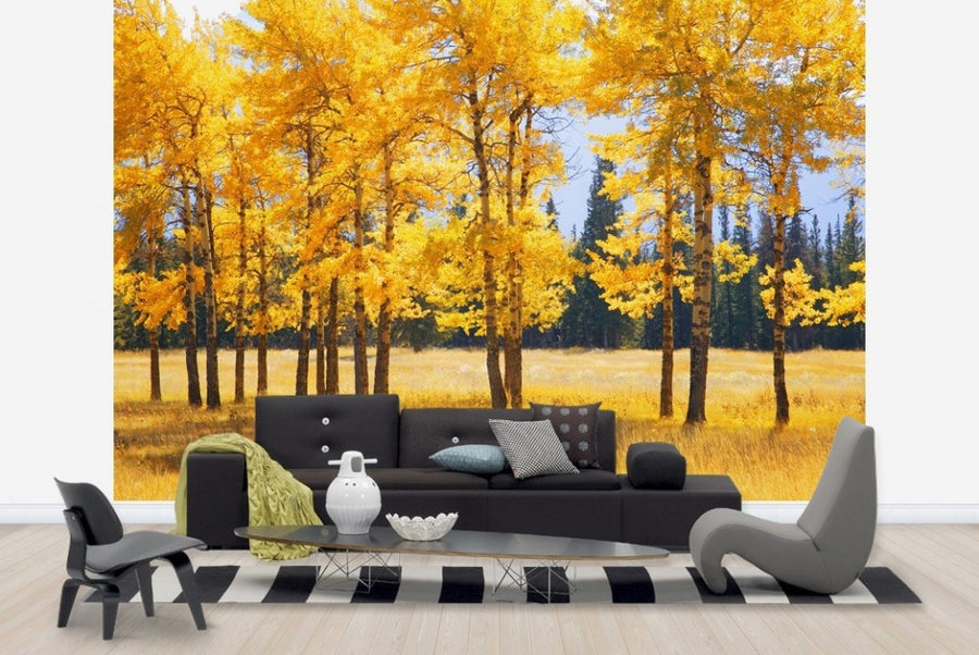 PHOTOWALL / Yellow Autumn Trees (e23012)
