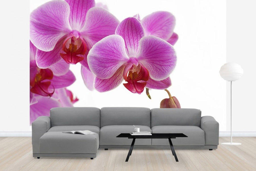 PHOTOWALL / Deep Pink Orchid (e23039)
