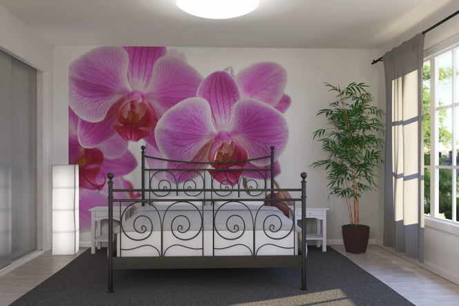 PHOTOWALL / Deep Pink Orchid (e23039)
