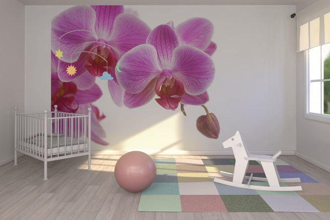 PHOTOWALL / Deep Pink Orchid (e23039)