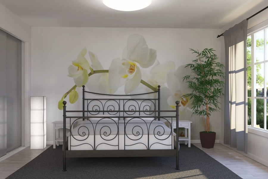 PHOTOWALL / Soft White Orchid Stem (e23040)