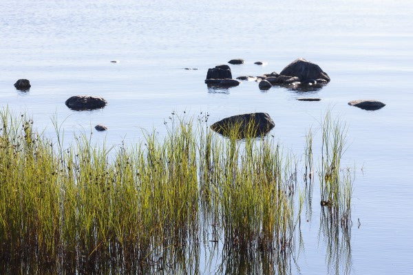 PHOTOWALL / Stones in Water, Gotland (e23050)