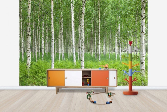PHOTOWALL / Summer Birch Forest (e23070)