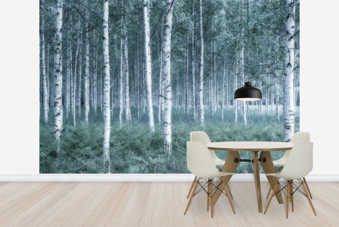 PHOTOWALL / Mystic Birch Forest (e23071)