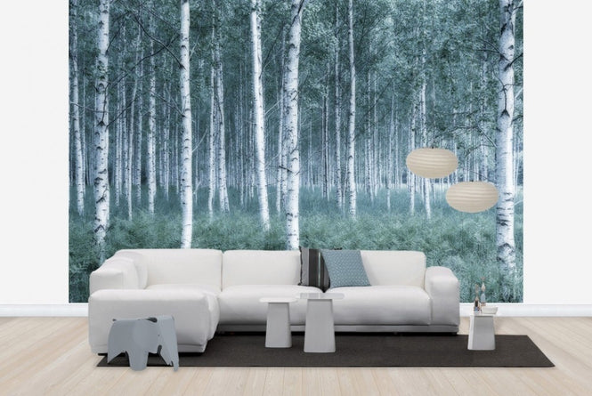 PHOTOWALL / Mystic Birch Forest (e23071)