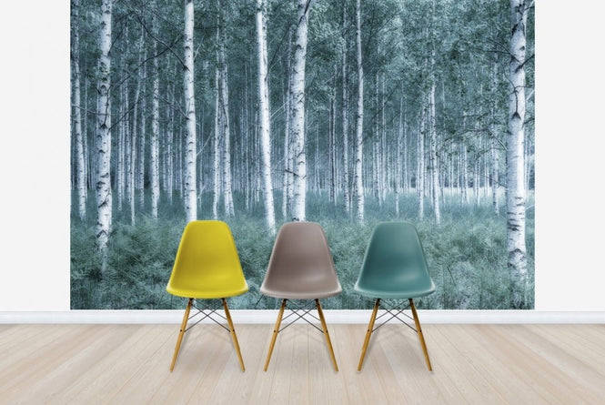 PHOTOWALL / Mystic Birch Forest (e23071)