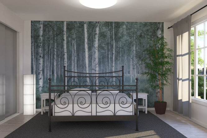 PHOTOWALL / Mystic Birch Forest (e23071)