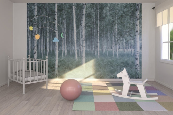 PHOTOWALL / Mystic Birch Forest (e23071)