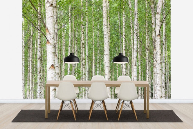 PHOTOWALL / White Birch Forest (e23073)