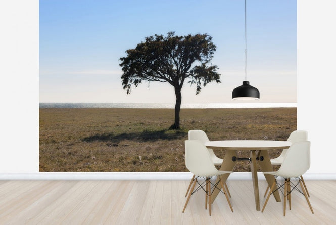 PHOTOWALL / Lonely Tree on Gotland (e23074)